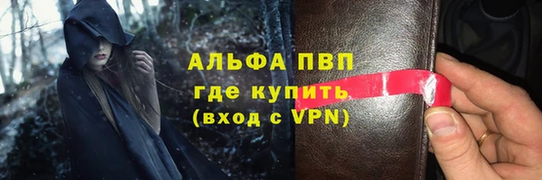 PSILOCYBIN Иннополис