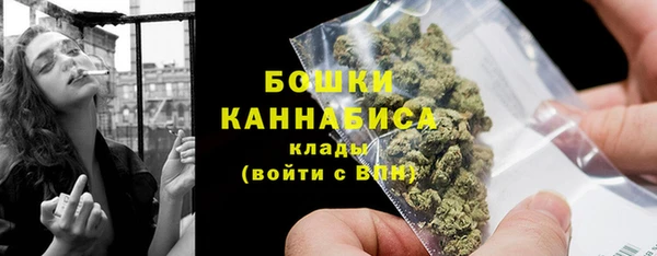 стаф Каменногорск