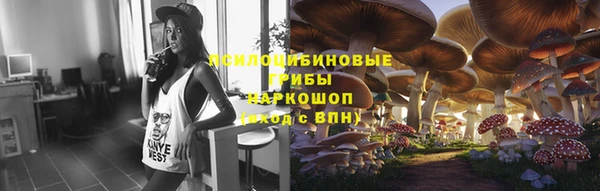 ECSTASY Инта
