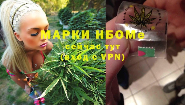 ALPHA-PVP Инсар