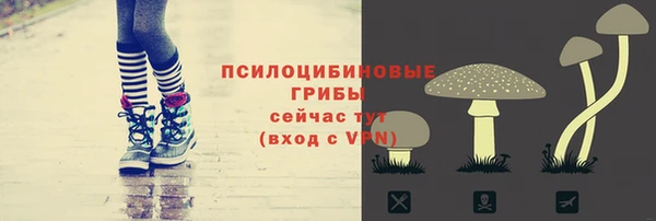 PSILOCYBIN Иннополис