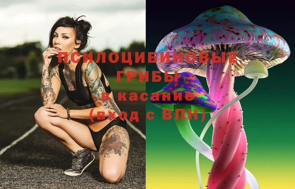 ALPHA-PVP Инсар