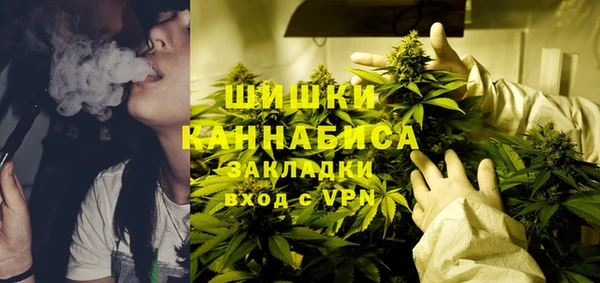PSILOCYBIN Иннополис