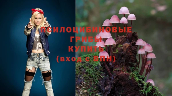 ALPHA-PVP Инсар
