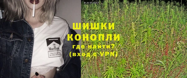 PSILOCYBIN Иннополис