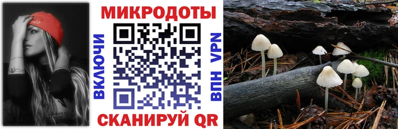 Купить  Хасавюрт  Галлюциногенные грибы MAGIC MUSHROOMS 